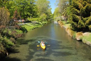 Kayaking on the Avon River, Christchurch, South Island, New Zealand