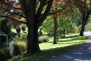 Scene in Christchurch Botanic Gardens, South Island, New Zealand